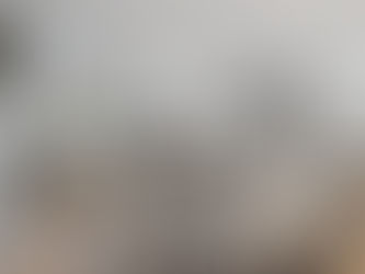 Renovation and Remodeling Tips for Maximizing ROI in Chicago Properties