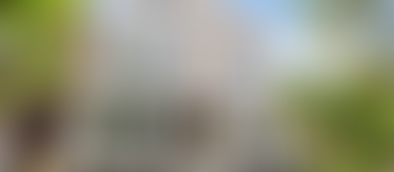 Comparing Investment Options: Multi-Unit Properties vs. Single-Family Homes in Chicago