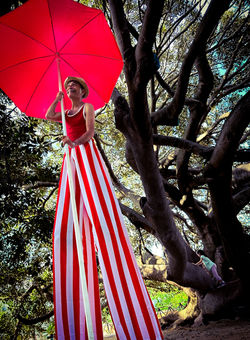 Mirko Ferruccio Ariu