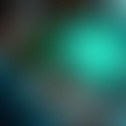 What Is Codeless Testing? A Comprehensive Guide