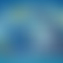 Mastering Playwright Test: Your Comprehensive Guide