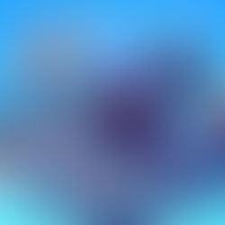 Simplify Universal JavaScript Apps with Razzle