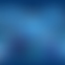 Your Guide to Serving SPAs: Web Server vs Application Server