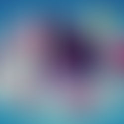 Your Comprehensive Guide to Ruby Property