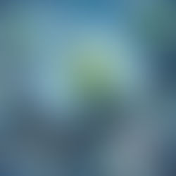 Your Ultimate Guide to Navigation to Home