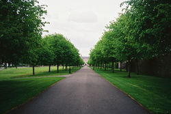 Irish Museum of Modern Art