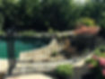 Exterior Pool Fence