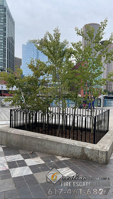 Tree Guard Railing - 4.jpg