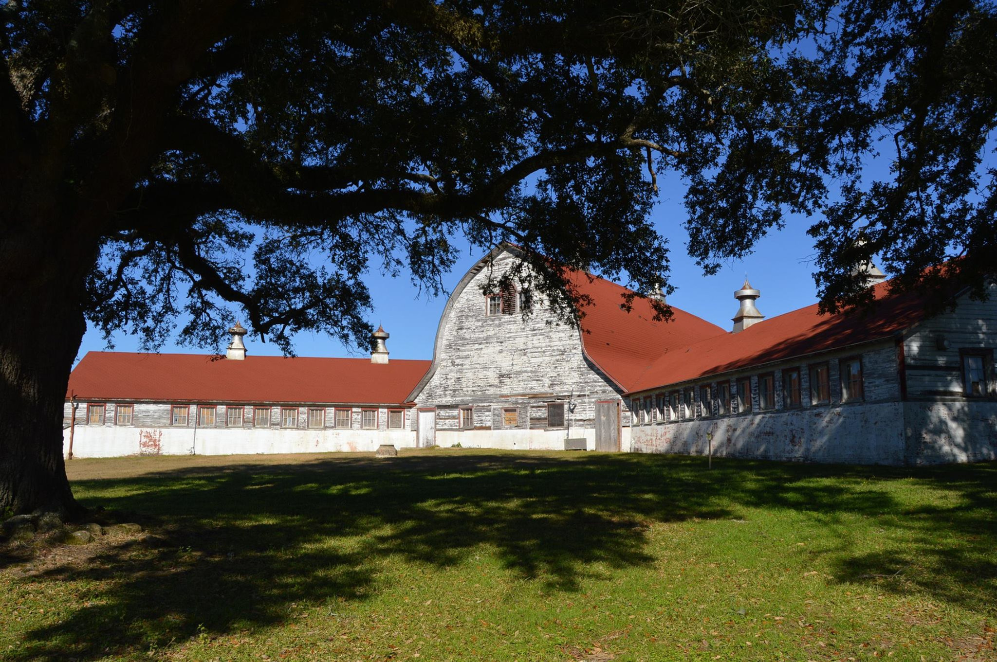 News Save the Dairy Barn Louisiana