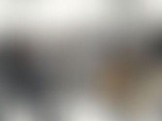 Introducing Opus Chamber Philharmonic