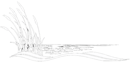 Logo Image (white no background)_edited.png