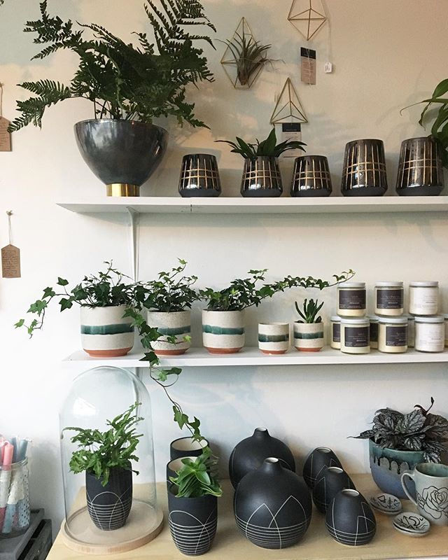 OUR FLOWER SHOP Guelph Blooms + Flora Florist