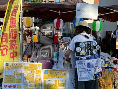 防災アクション+α vol 4      ちっちゃな夜祭
