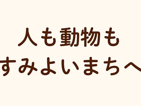 ALLOK新メンバー参加決定!