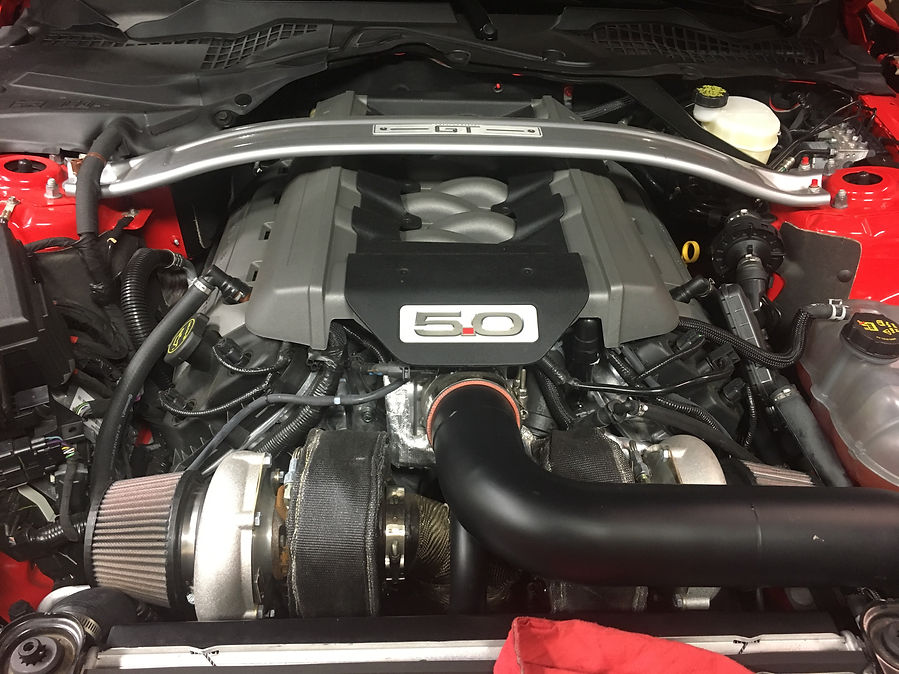 TT Coyote.JPG