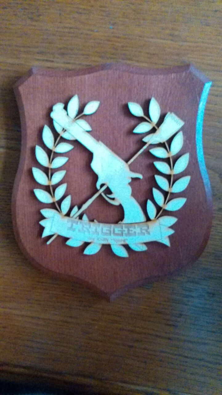 shield Trigger