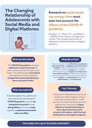 Social Media as a Bridge and a Window Research Infographic.png