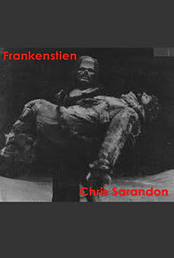 Roger Bellon, Composer, Emmy Nominatio Music, Television, Drama, CBS, Frankenstein, Chris Sarandon
