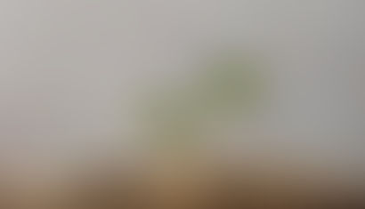 The Weekly Gem- 11/17/22