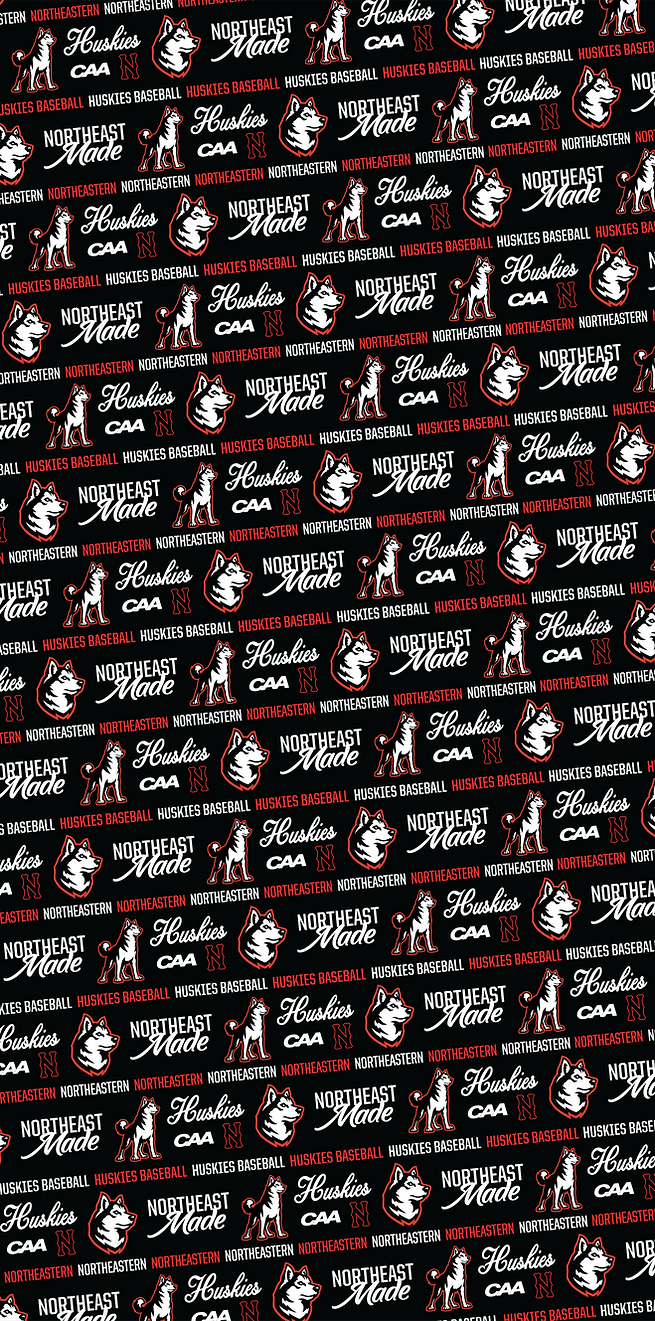 Northeastern Pattern Background-05.png