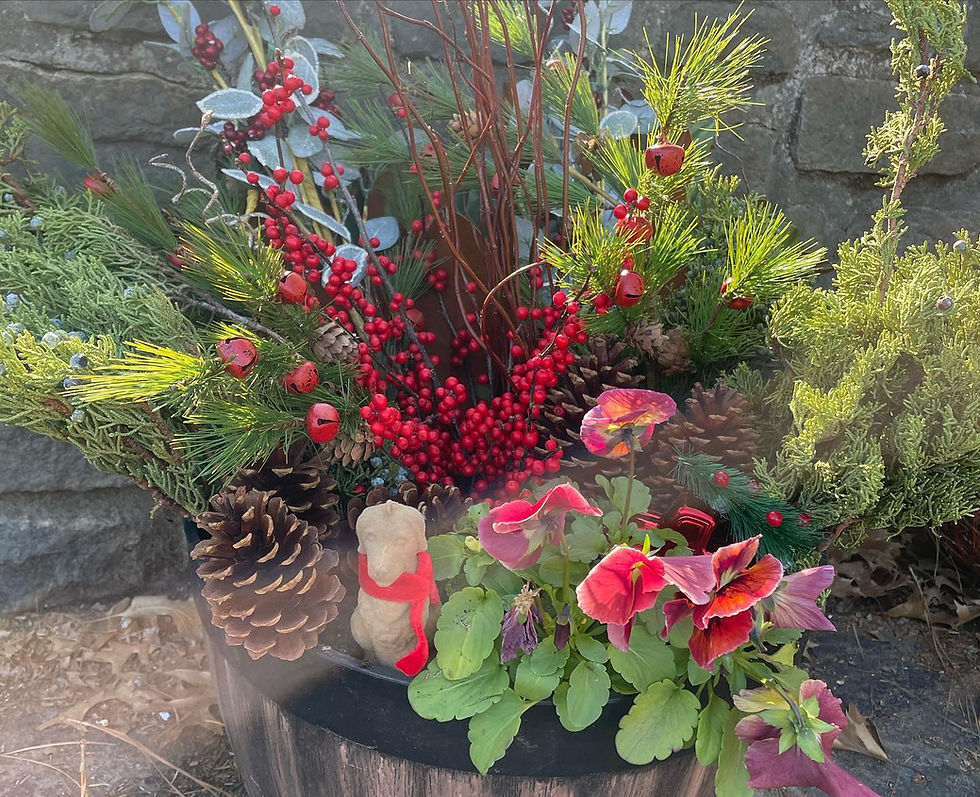 Thumbnail: winter holiday themed planter with ornamental cabbage, dried grass plumes, eucalyptus, evergreen branches and berry stems, pine cones and birch branches
