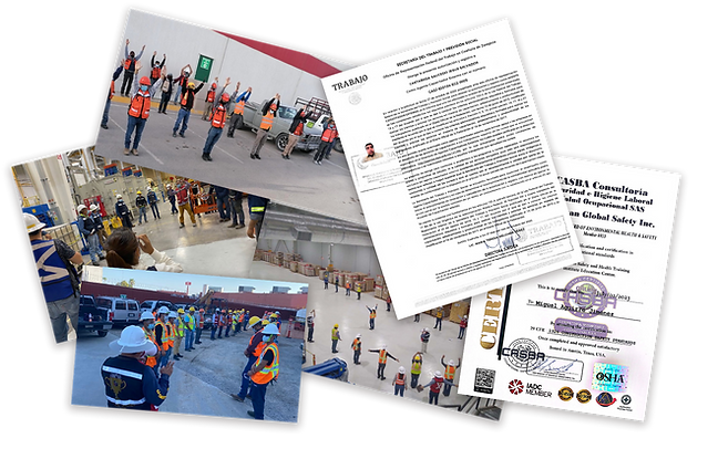 COLLAGE SEGURIDAD.png