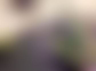 New Saturday Morning Yoga Class!