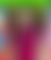 Last Wellness Retreat for 2020!