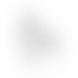 Oscar Luckett and Rohan Mehta