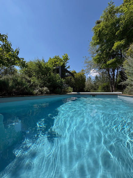pool on a hot summer day with a garden designed for lushness modern garden design