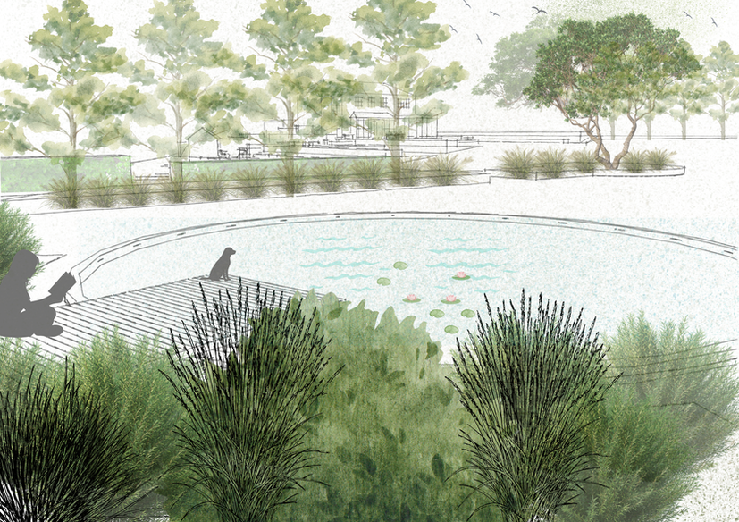 Landscape concept of circular water feature with a wooden deck, framed by naturalistic planting and tree backdrop, designed by Cedar & Form.