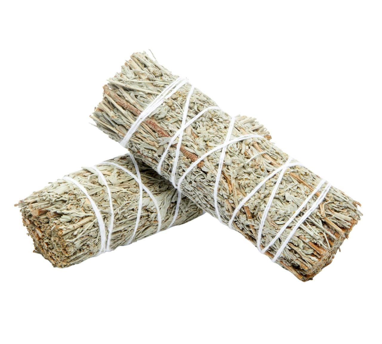 Blue Sage (Grandmother Sage) 4"