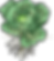Chabis Illustration Pflanze 2.png