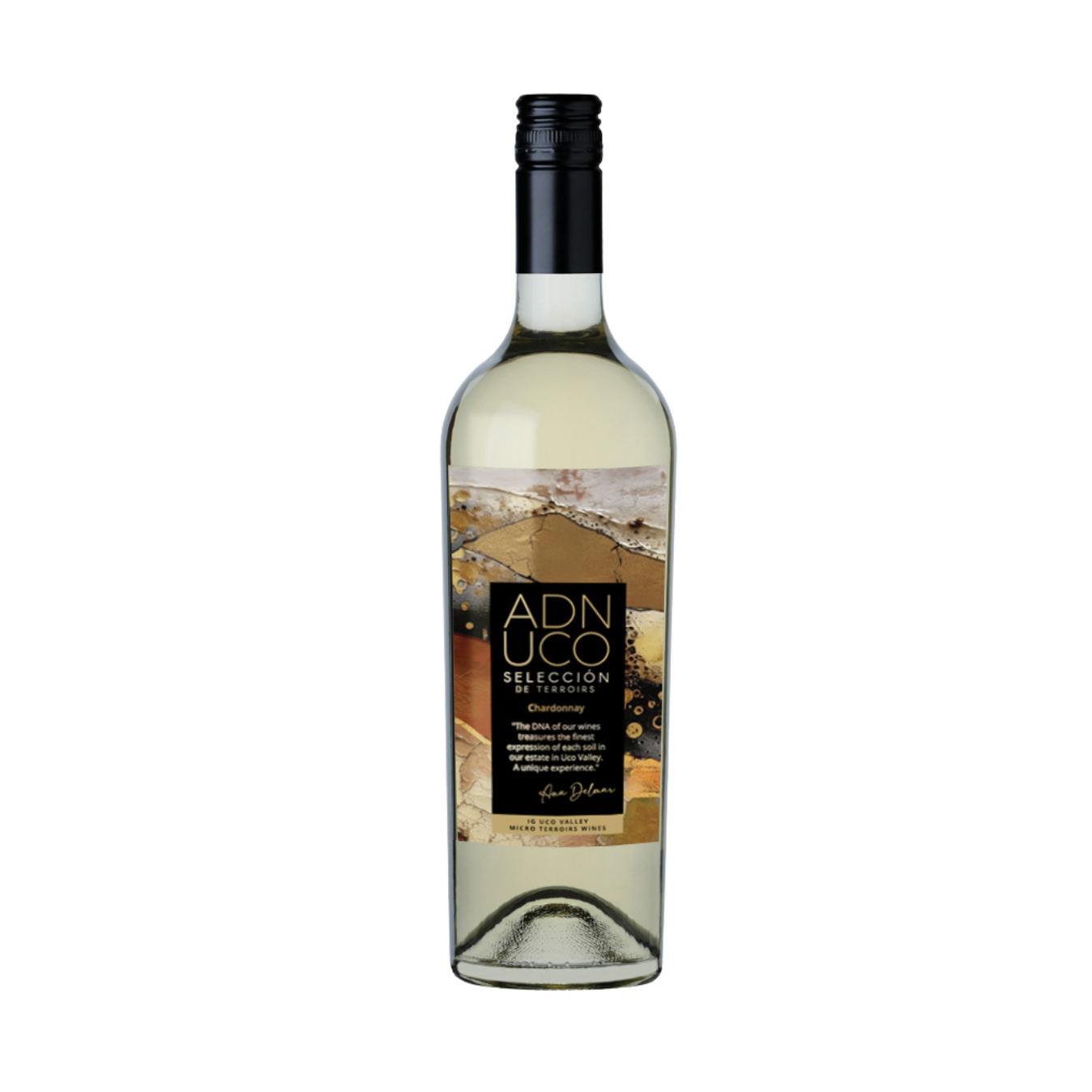 FINCA BUENAVENTURA Selección Chardonnay 2023