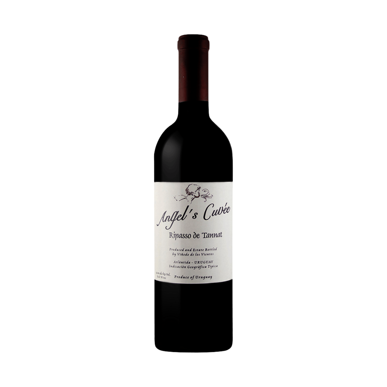 VIÑEDO DE LOS VIENTOS Angel's Cuvee Ripasso de Tannat 2008 Magnum