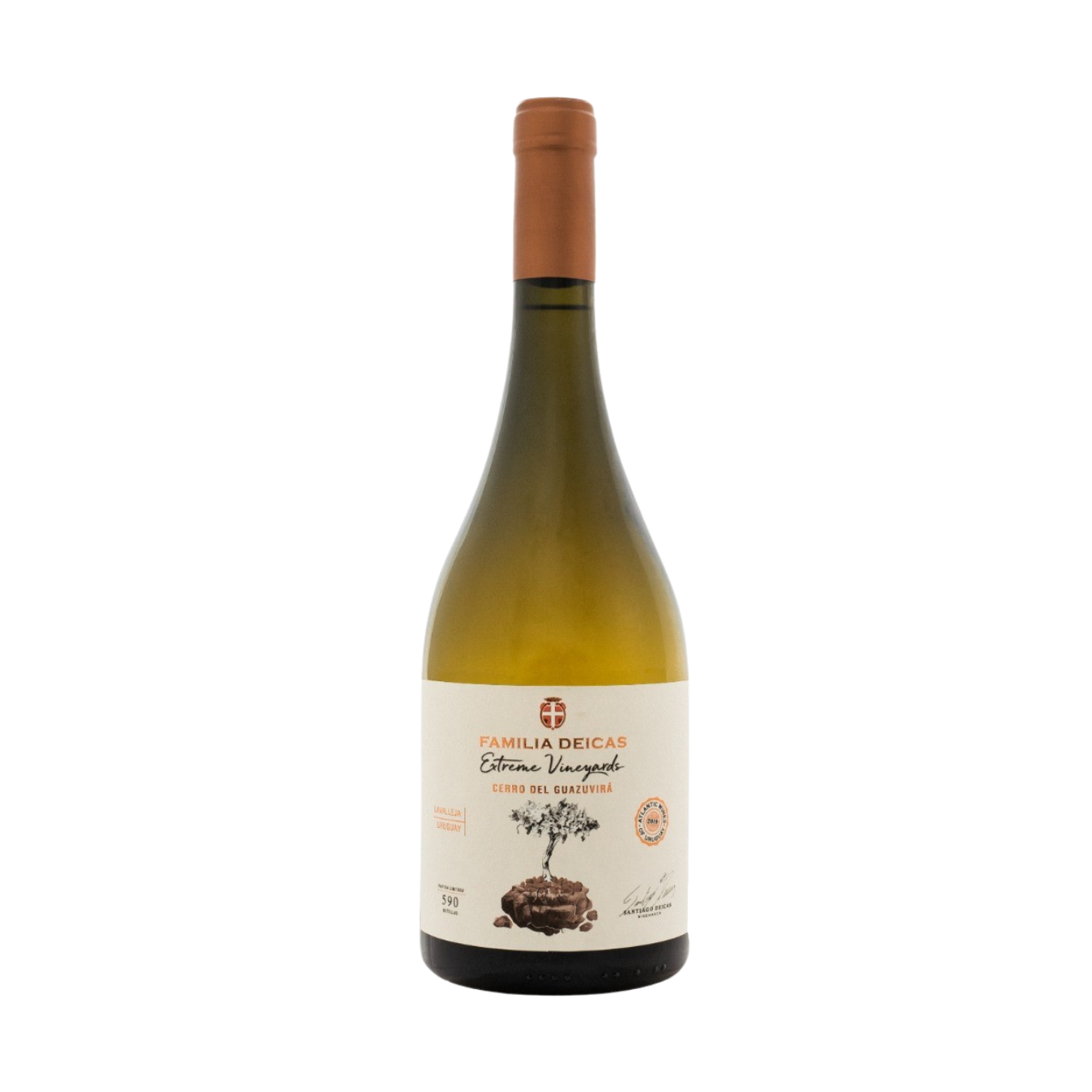 FAMILIA DEICAS Extreme Vineyards Cerro Del Guazuvirá White Blend 2021
