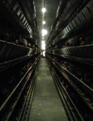 ENTENDIENDO LA ILUMINACIÓN: GUÍA SOBRE LOS LEDS Y OTROS PUNTOS DE LUZ