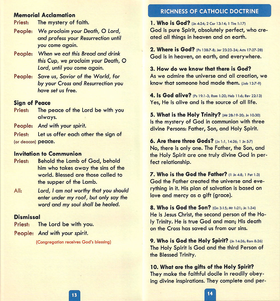 Thumbnail: The Catechism Companion (Bilingual)