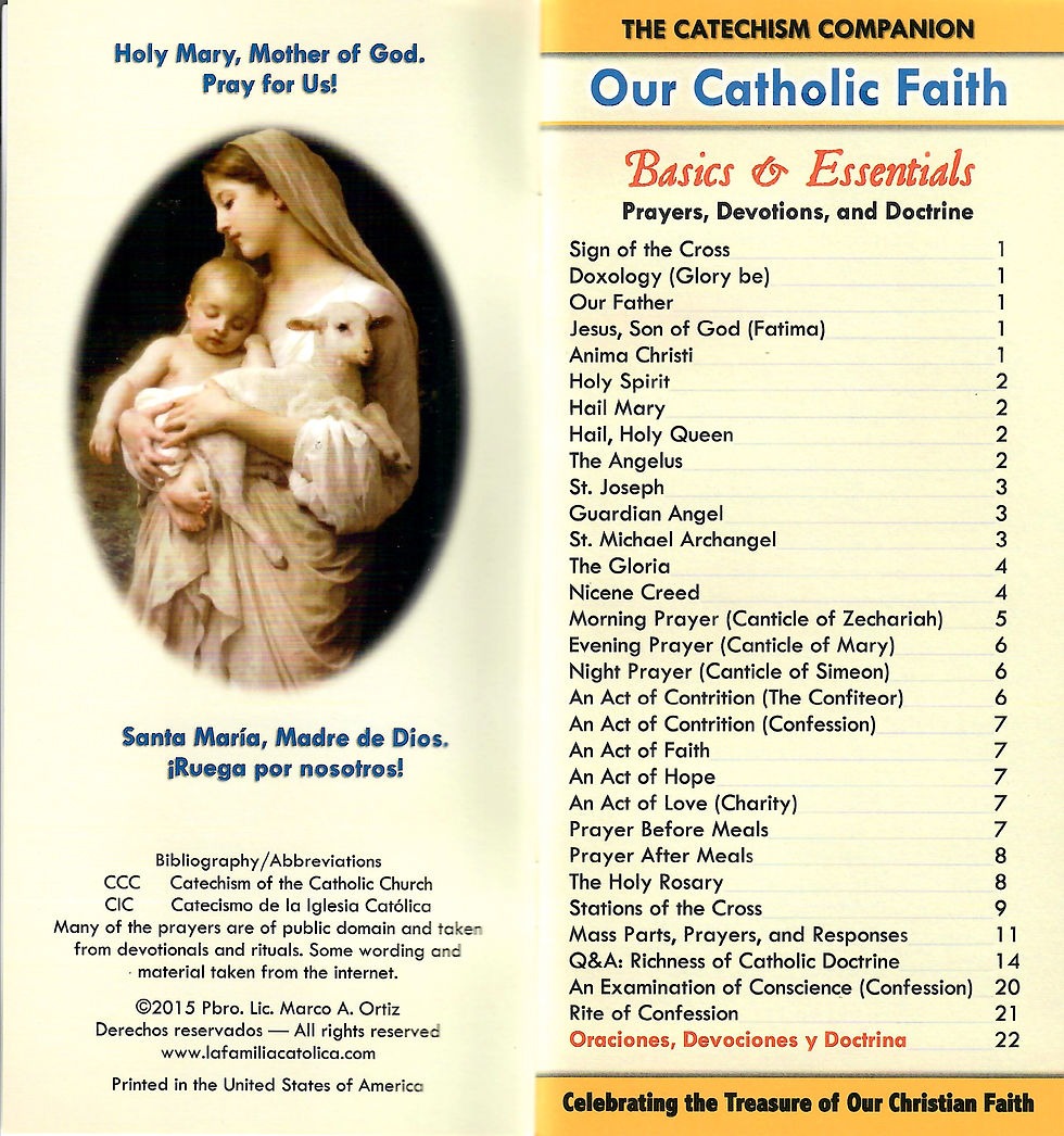 Thumbnail: The Catechism Companion (Bilingual)