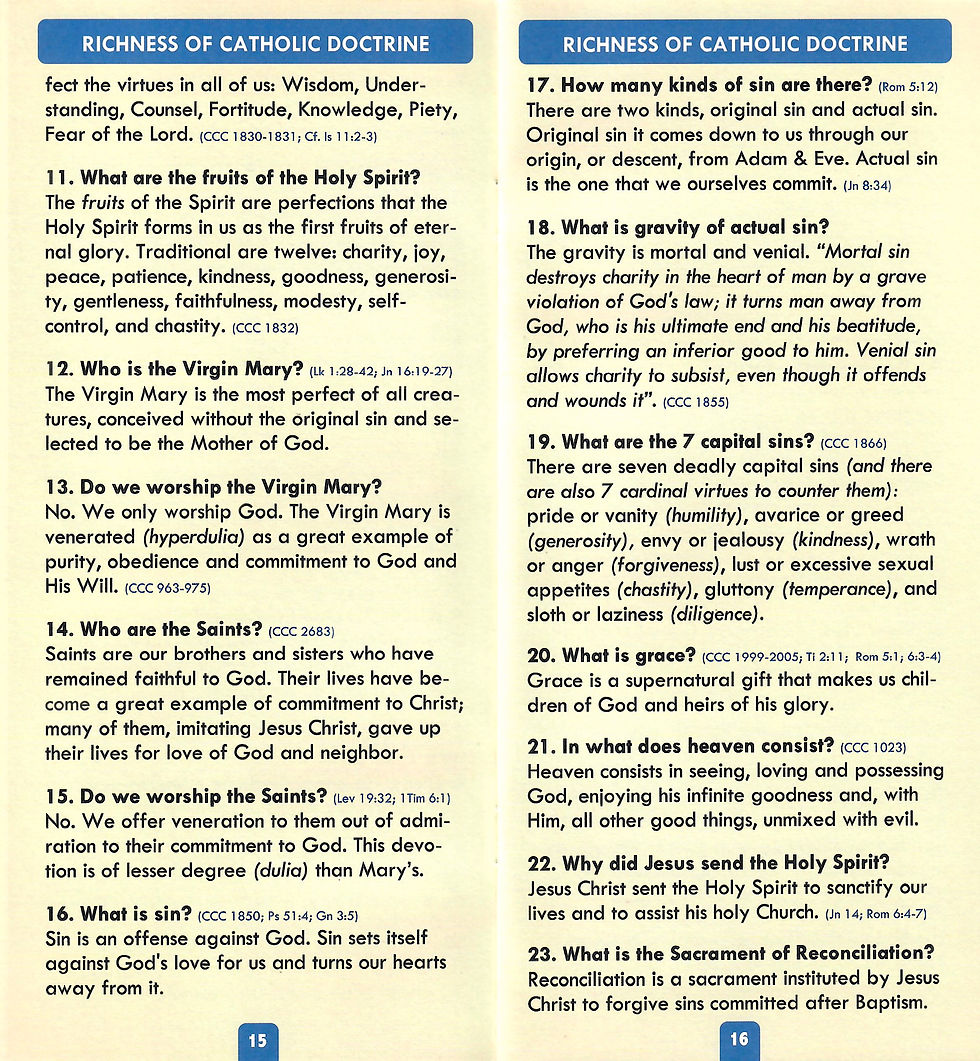 Thumbnail: The Catechism Companion (Bilingual)