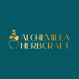 Branding & Visual Identity