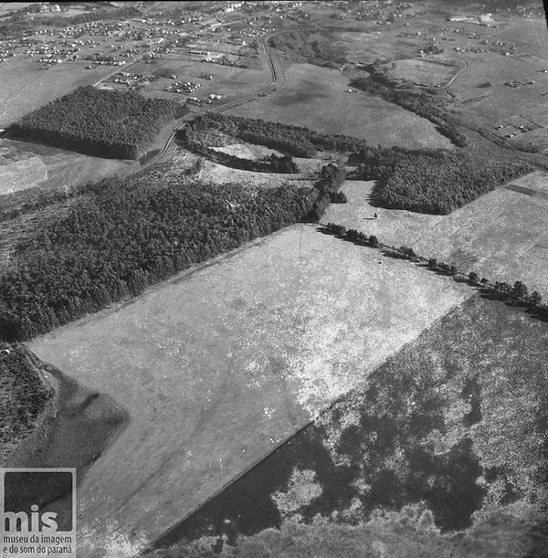 Jesus Santoro - Cafezal.jpg