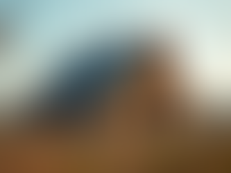 Why Choose Amish Construction Techniques