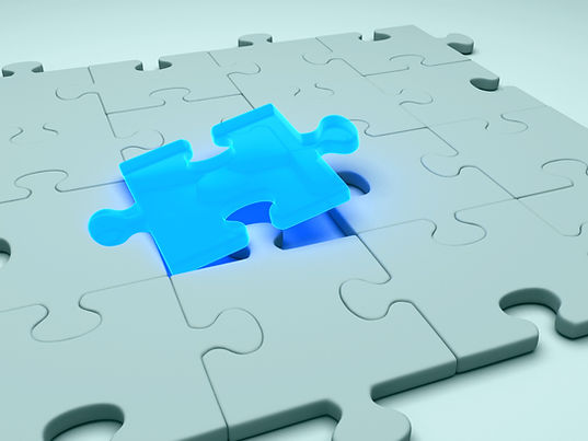 Puzzle Piece Highlighted_edited.jpg