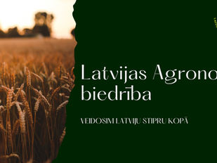 Ražas novākšanas laiks