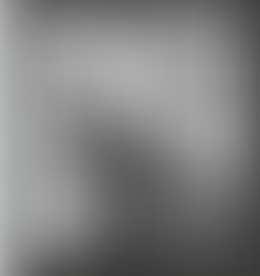 Cuando los arboles "Estorban". Paginas de la Manifestación de Impacto Ambiental para el Vi