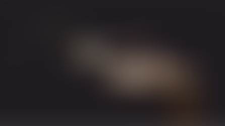 Historias de vigilia.