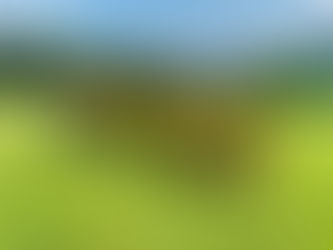 Boletim 29/4: Último treino do tubarão antes da estreia de amanhã e Erick Foca fora.