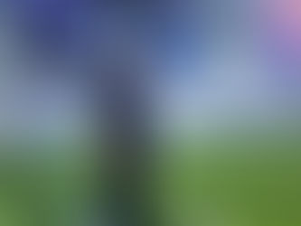 OFICIAL: Leonardo Vitorino é o novo treinador do Tubarão