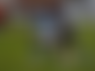 EstatÃsticas e fatos: uma retrospectiva do jogo no Jairzão.